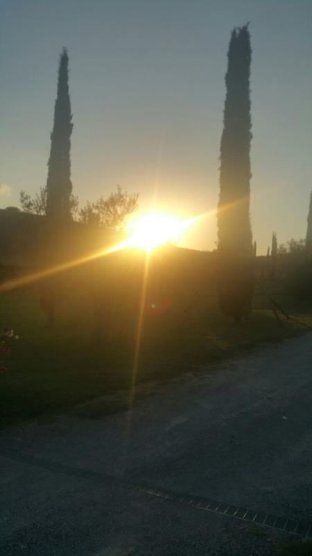 Lorena Agriturismo Maremma giardino