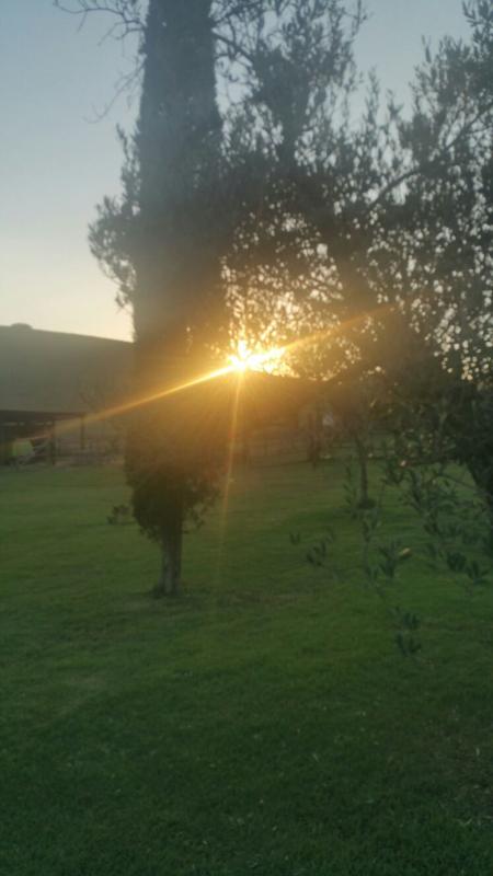 Lorena Agriturismo Maremma giardino